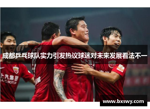 成都乒乓球队实力引发热议球迷对未来发展看法不一